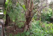 House for Sale in Ja Ela