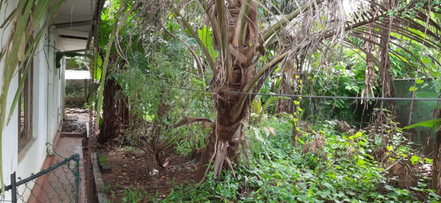 House for Sale in Ja Ela