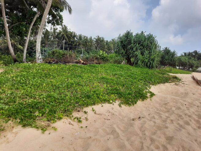 Beach Front Property for Sale in Unawatuna