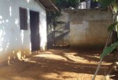 බෝධිමාවත ඉඩමක් සමග නිවසක් විකිණීමට