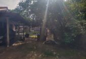 Land With Ongoing Construction and Two Houses