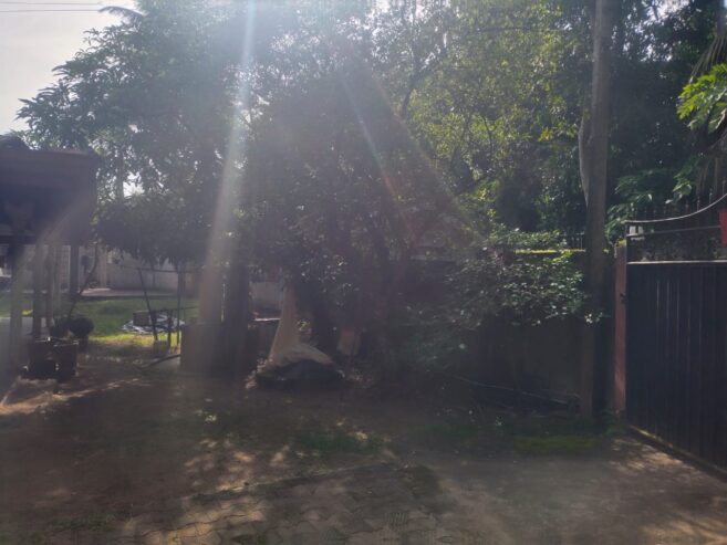 Land With Ongoing Construction and Two Houses