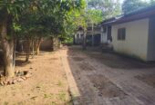 Land With Ongoing Construction and Two Houses