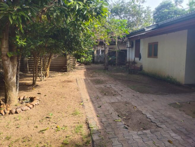 Land With Ongoing Construction and Two Houses