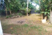 Land With Ongoing Construction and Two Houses
