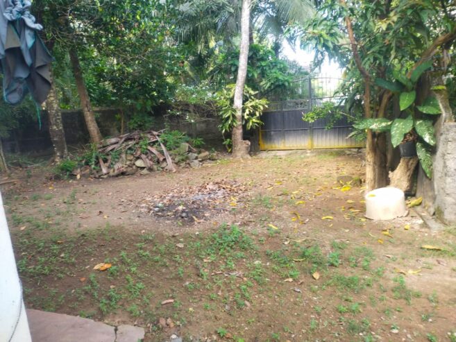 Land With Ongoing Construction and Two Houses