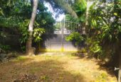 Land With Ongoing Construction and Two Houses