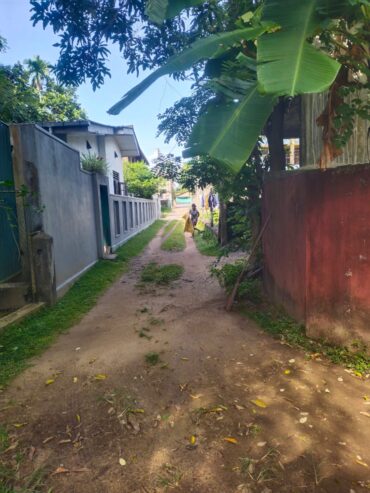 Land With Ongoing Construction and Two Houses
