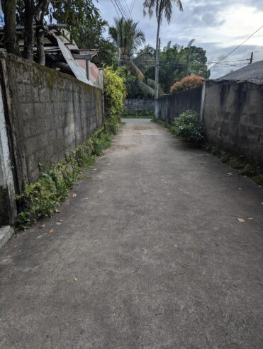 House For Sale In Pannipitiya