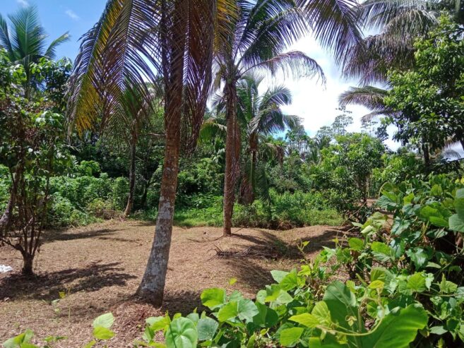 Land For Sale In Kuruwita