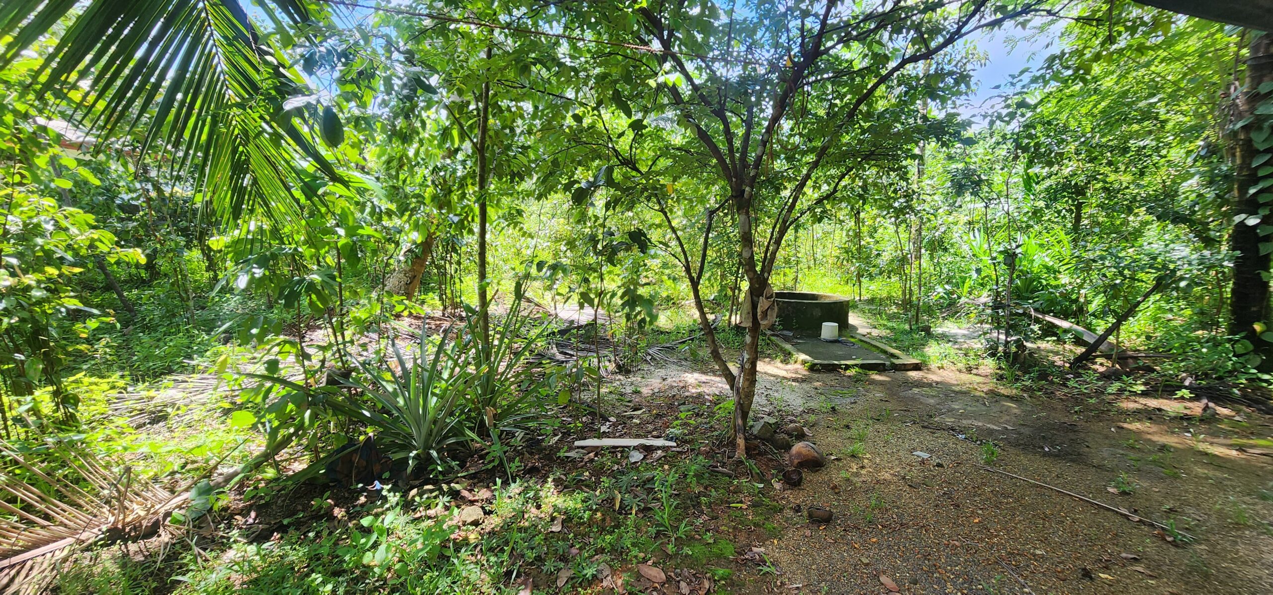 ඉඩමක් විකිණීමට Haltota