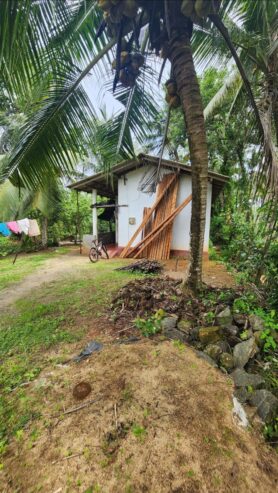 ඉඩමක් විකිණීමට Haltota
