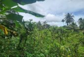 ඉඩමක් විකිණීමට Haltota