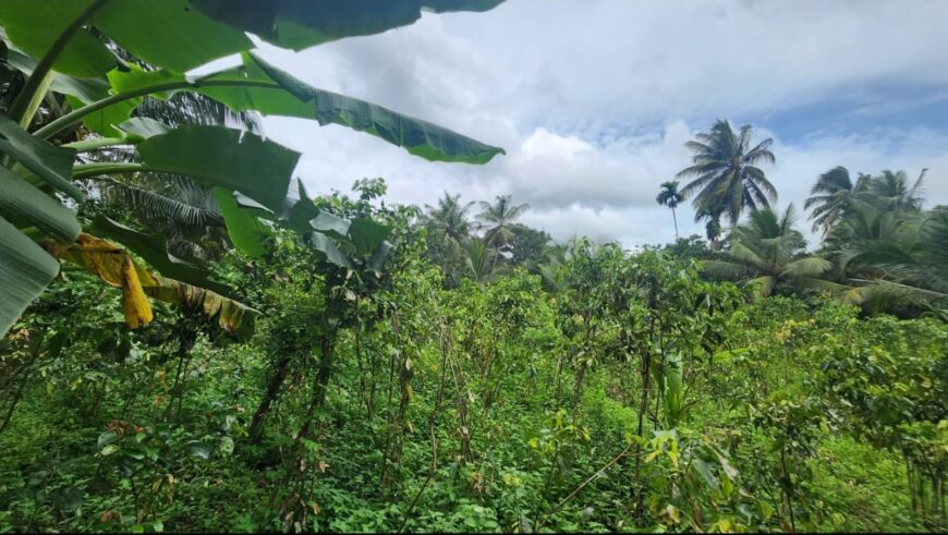 ඉඩමක් විකිණීමට Haltota