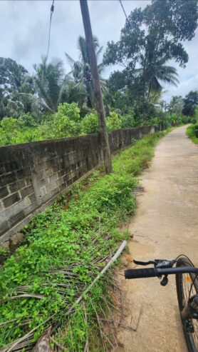 ඉඩමක් විකිණීමට Haltota