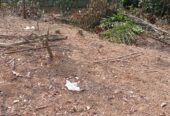 Land for Sale in Avissawella