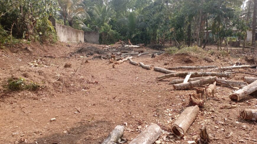 Land for Sale in Avissawella