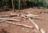 Land for Sale in Avissawella