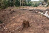 Land for Sale in Avissawella