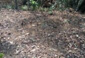 Land for Sale in Avissawella