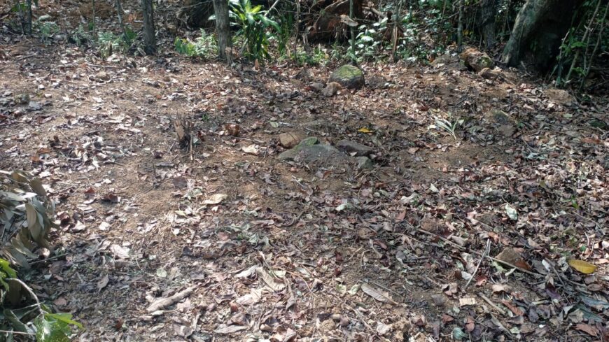 Land for Sale in Avissawella