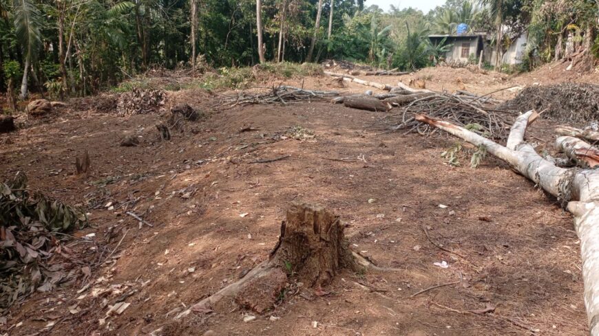 Land for Sale in Avissawella