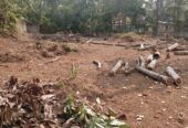 Land for Sale in Avissawella