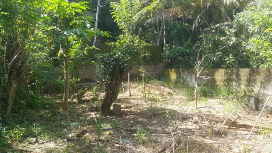 Land For Sale In Millawa