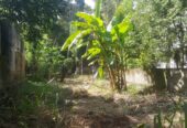 Land For Sale In Millawa