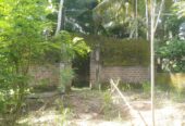 Land For Sale In Millawa