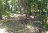 Land For Sale In Millawa