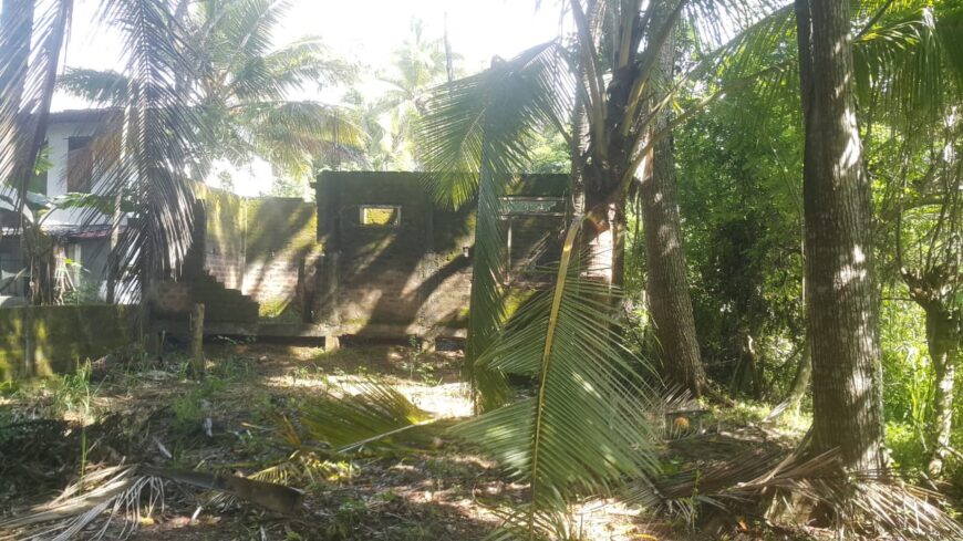 Land For Sale In Millawa