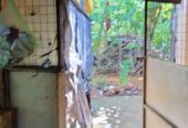 Land For Sale In Embilipitiya.