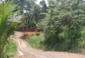 Land for Sale in Weweldeniya