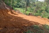 Land for Sale in Weweldeniya