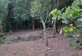 Land for Sale in Yakgahapitiya , Kandy