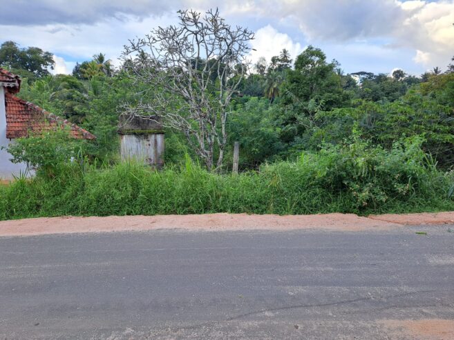 Land for Sale in Yakgahapitiya , Kandy