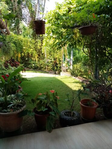 House For Sale In Kalutara