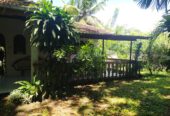 House For Sale In Hikkaduwa
