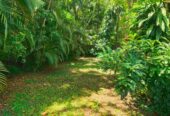 House For Sale In Hikkaduwa