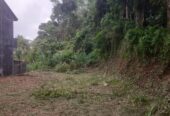 Land for Sale in Wewahamanduwa