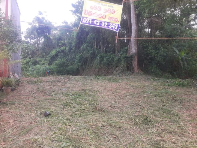 Land for Sale in Wewahamanduwa