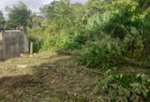 Land for Sale in Wewahamanduwa