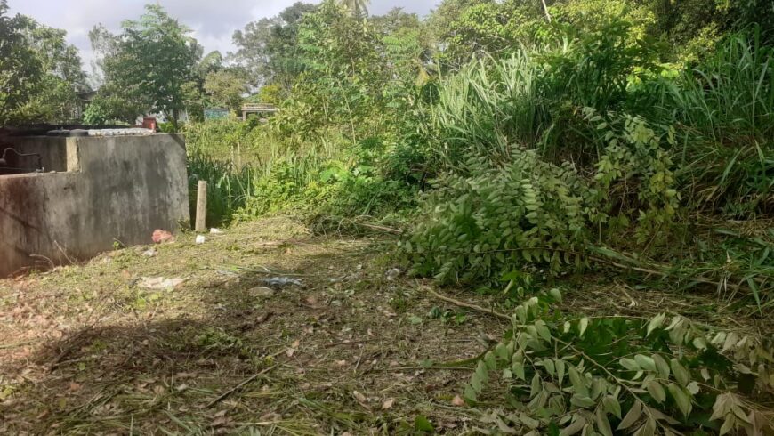 Land for Sale in Wewahamanduwa