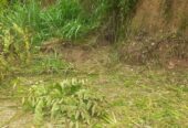 Land for Sale in Wewahamanduwa