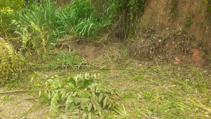Land for Sale in Wewahamanduwa