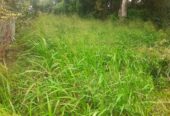 Land for Sale in Wewahamanduwa