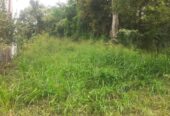 Land for Sale in Wewahamanduwa
