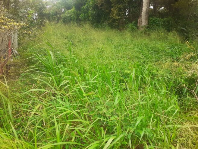 Land for Sale in Wewahamanduwa
