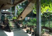 HOUSE FOR SALE IN HABARAKADA SRI SEELALANKARA MAWATHA For Sale